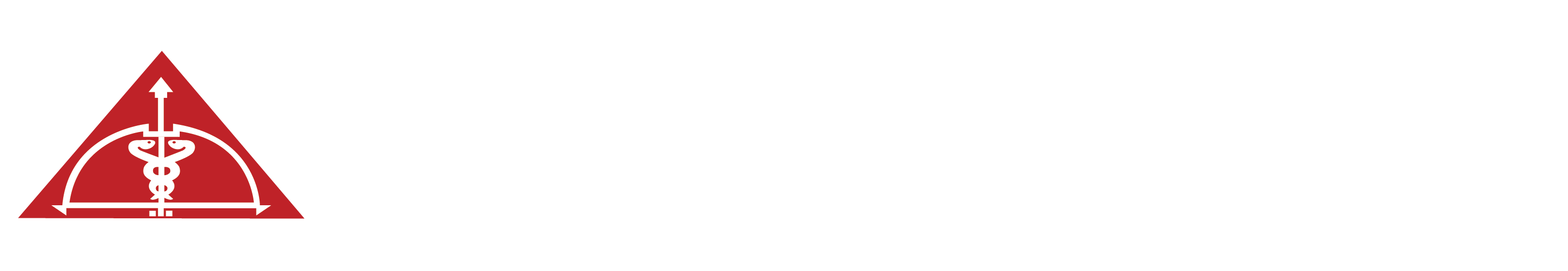 logo_site.png