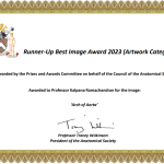 Best Image Award( Runner up) by Anatomical Soceity, UK