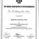 Significant Contribution Award 