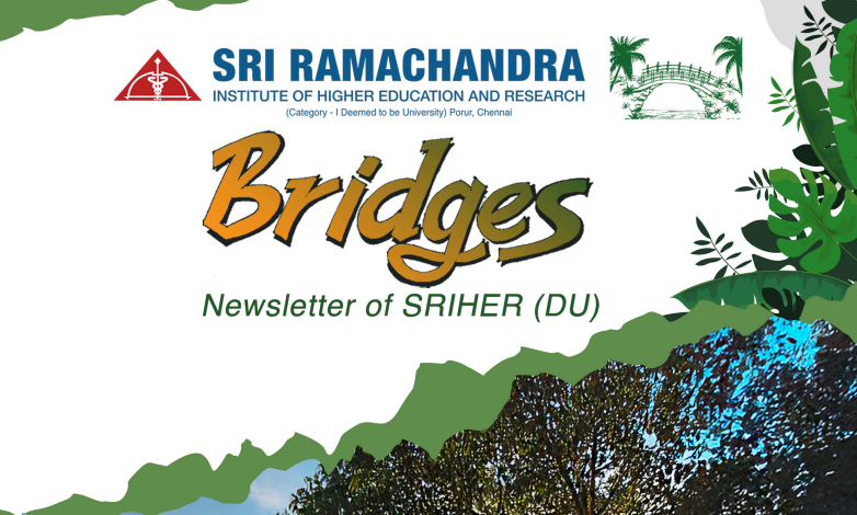 Bridges november 2025